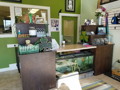 Paws & Relax Pet Spa