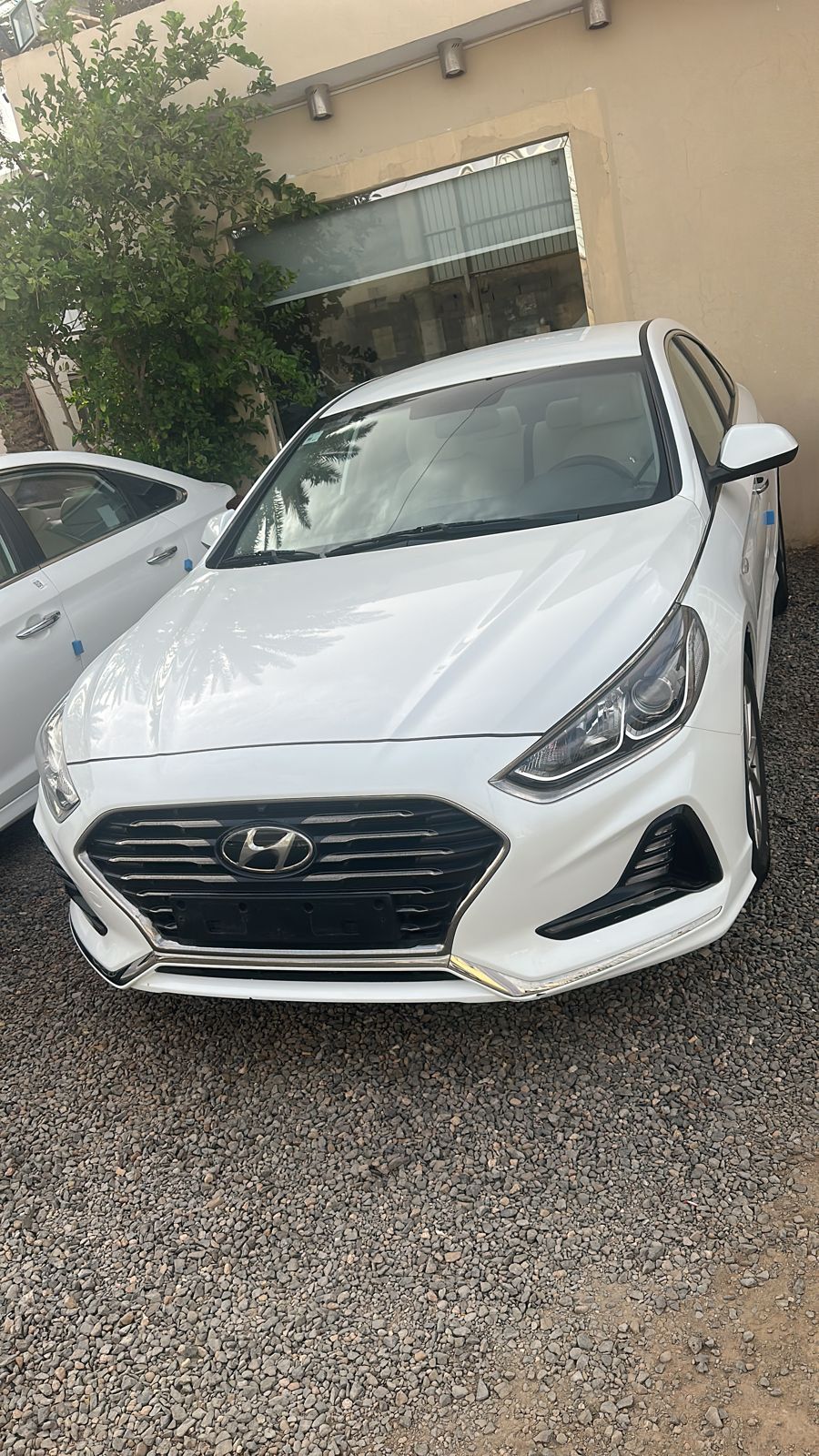 معرض طارق عليان الذبياني للسيارات