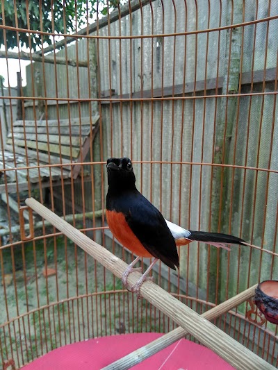 Photos of Perum Cendrawasih Permai