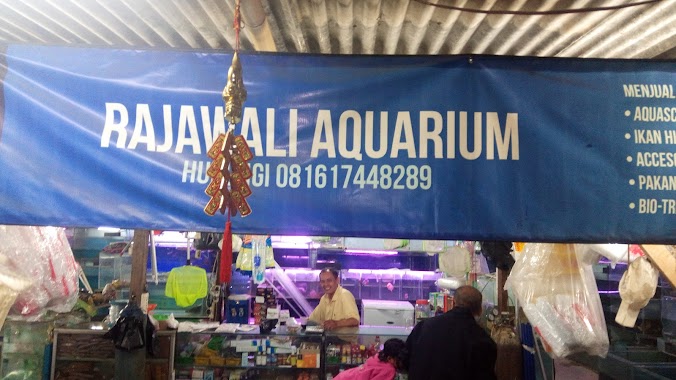 Rajawali Aquarium, Author: Iskandar Zulkarnaen