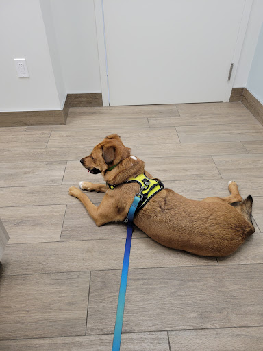 East Credit Veterinary Hospital - Thumbnail