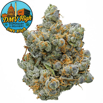 Photo of Dmv high dc.