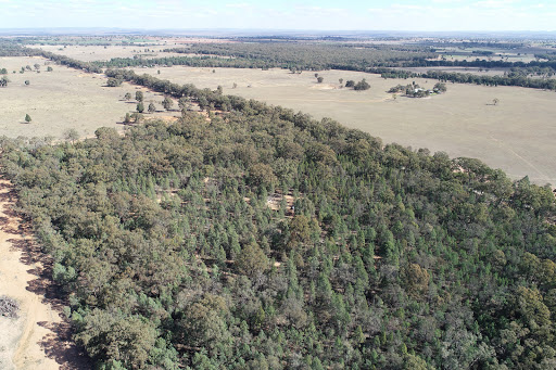 Wongarbon Cemetery - Thumbnail