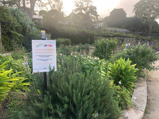 Artarmon Parklands Community Garden - Thumbnail