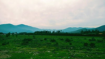 Photos of Dulces De La Ligua