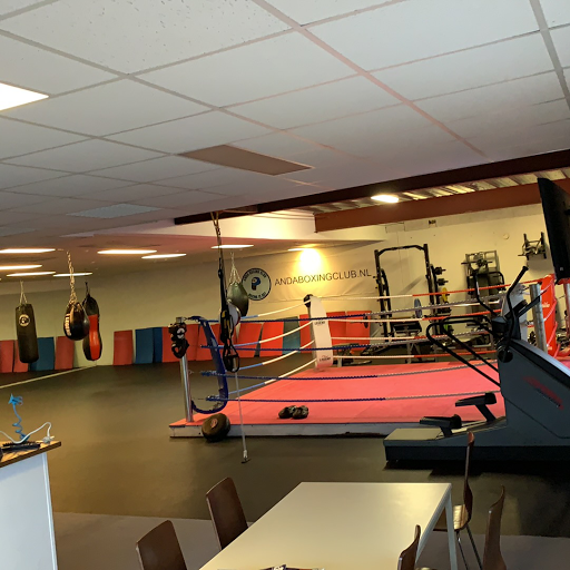 Anda Boxing Club - Thumbnail