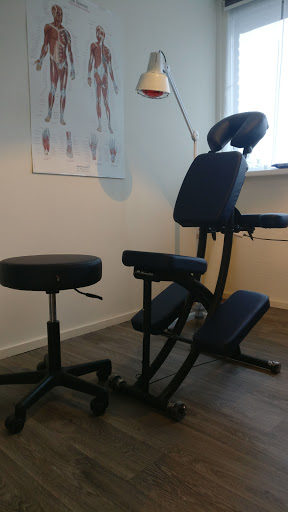 Flexor Massage Gallery - Netherlands