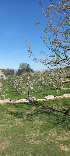 Doninger's Eckgrabenhof