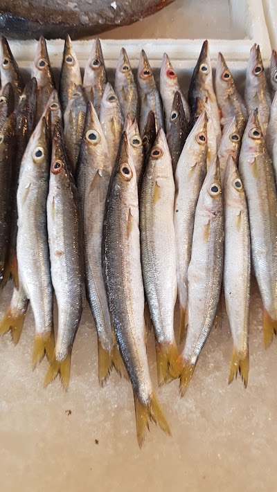 Photos of Fish Market karantina
