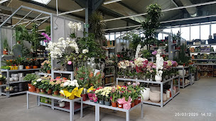 Photo n°3 de E.Leclerc Brico à Bourcefranc-le-Chapus (Menuisier)