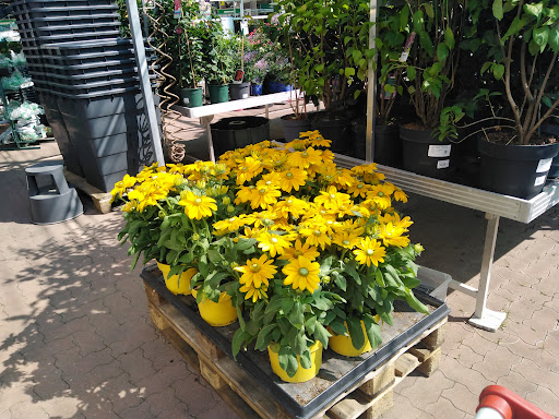 Innovativgarten
