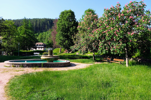Kurpark St. Blasien - Thumbnail