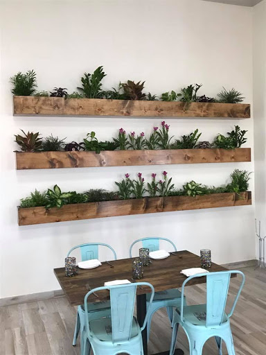 F&B - Visual