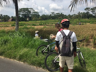Photos of Bali 2000