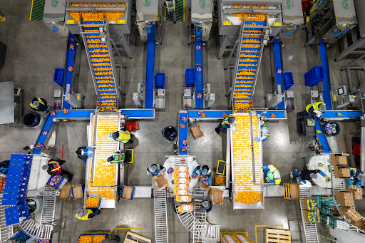 Manfredi Cold Storage of Pedricktown - Thumbnail