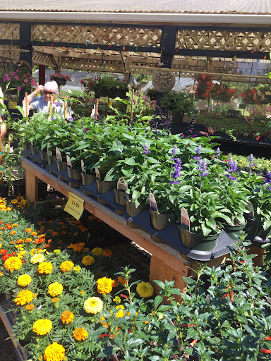 Springtime Garden Centre - Canada