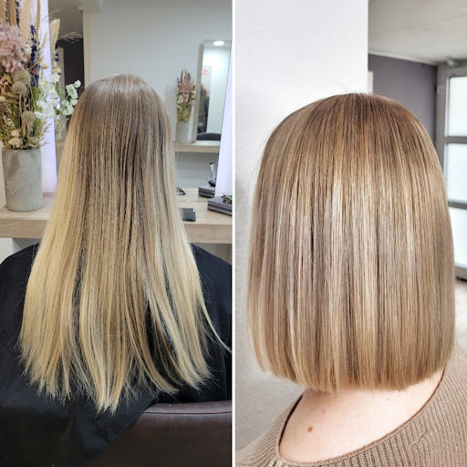 Elke Schaarschmidt Friseure