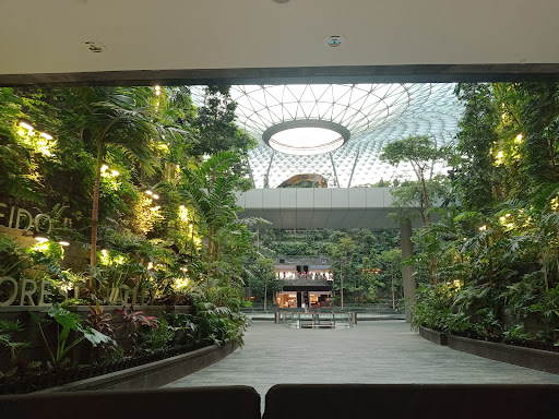 Singapore Changi Airport Gallery - Singapore