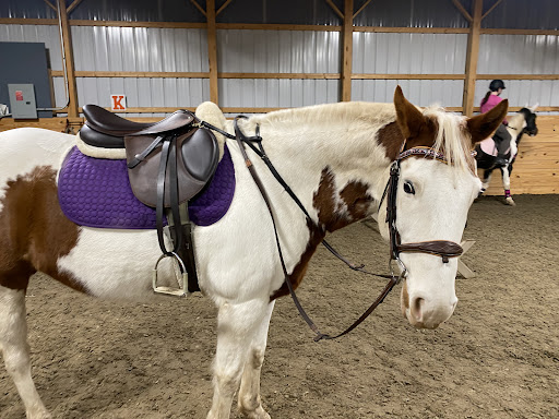 Patchwork Saddlery - Visual
