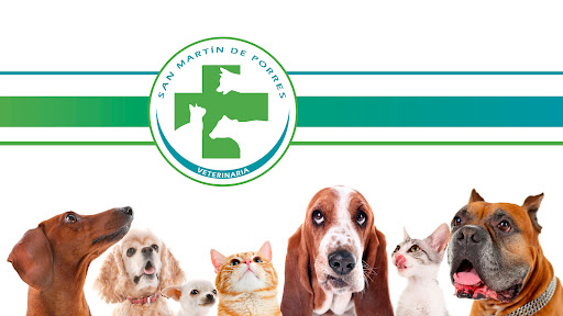 Veterinaria San Martín de Porres