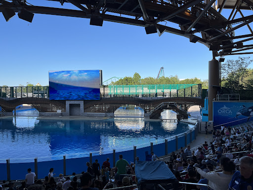 Orca Encounter - Visual