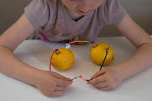 Photo n°9 de Labo enchanté | Ateliers scientifiques ludiques en Gironde à Cussac-Fort-Médoc (Centre de formation)