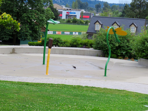 Mackin Spray Park - Thumbnail