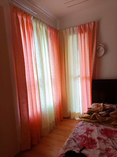 Gallery image 516