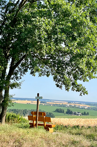 Triebestalblick - Visual
