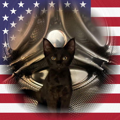 Foto de Cat Adoption Los Angeles - Furry Friends