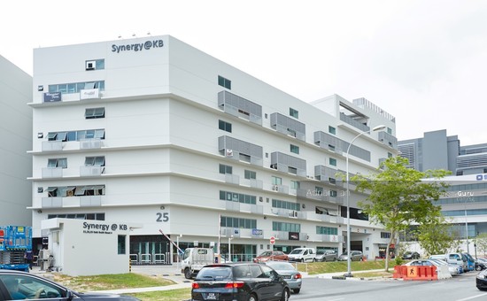 BlackEagle Auto Pte Ltd - car servicing Singapore facility photo 2