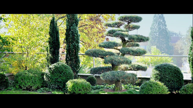 Rezensionen über M. Kubli Gartenpflege und Gestaltung in Zürich - Gartenbauer