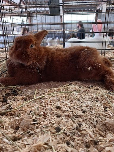 Huron County Fairgrounds - Visual