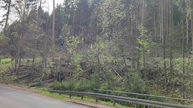 Opinii despre WIADUKT KOLEJOWY în Polanica-Zdrój - Muzeum