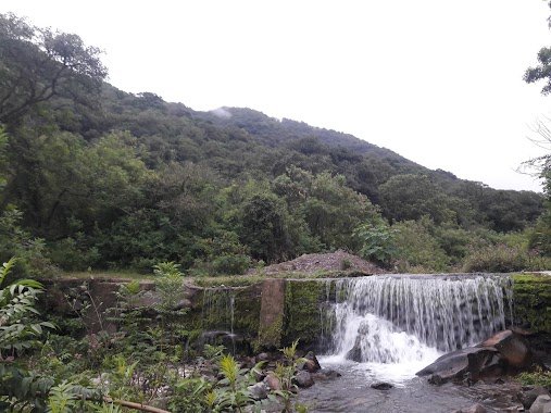 Cascadas de la Reserva Ecologica de Finca Las Costas, Author: Fernando Anaya