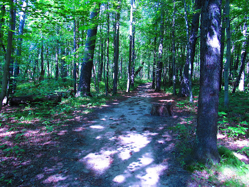 Stony Creek Metropark Nature Center - Thumbnail