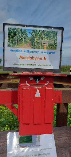 Blumen selber pflücken
