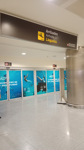 Salidas - Visual