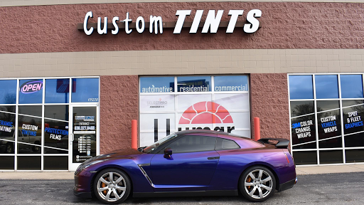 Custom Tints - Visual