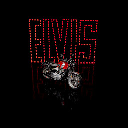 Photo n°43 de Triumph la Rochelle à Puilboreau (Concessionnaire de motos d'occasion)