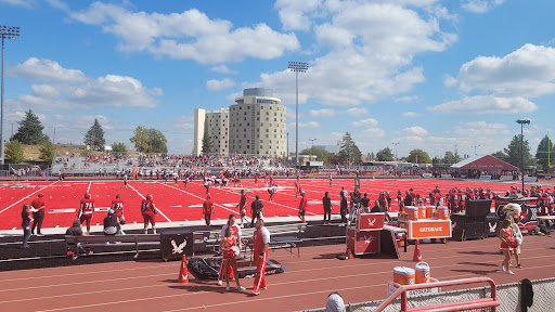 Roos Field - Visual
