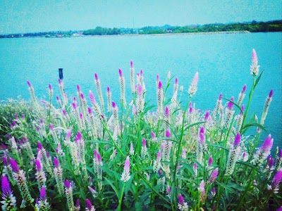 photo of Waduk Kota Lhokseumawe