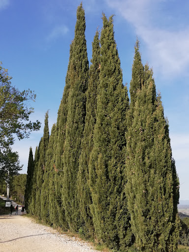 AGRITURISMO CAMPO DEI LUPI Gallery - Italy