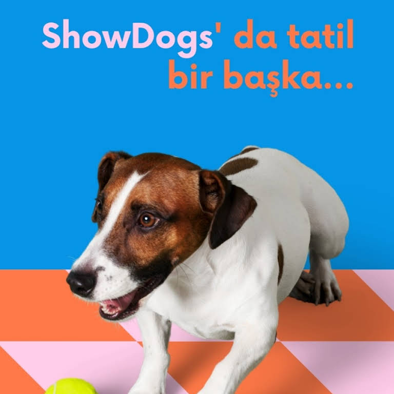 sakarya köpek çiftliği