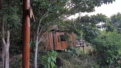 Photos of Paradise Bungalows Restaurant