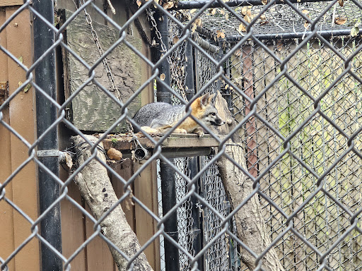Sulphur Creek Nature Center - Thumbnail