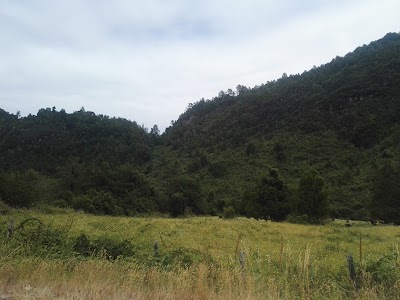 Photos of Caba&ntilde;as El Faisan