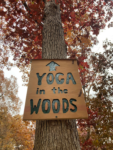 Yoga in the Woods - Thumbnail