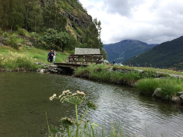 Flåm stasjon