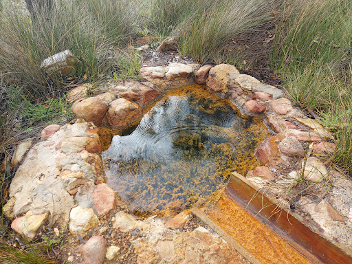 Aylmore Mineral Spring Gallery - Australia